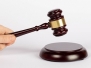 Auction Rules - Meetings