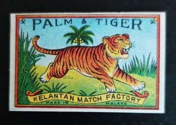 Palm and Tiger